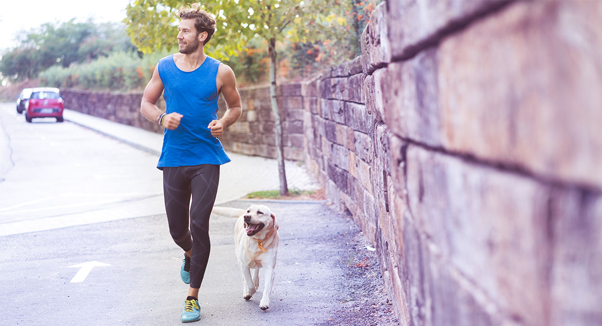 Wenn der Hund für Chaos sorgt. Ein Hund joggt mit Herrchen auf der Straße.